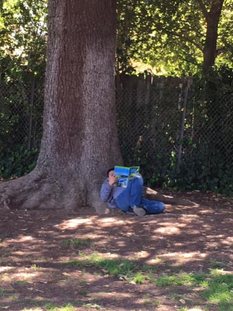 A boy laying at the trunk of a large tree next to a fence while reading a book that he has propped on his chest.
